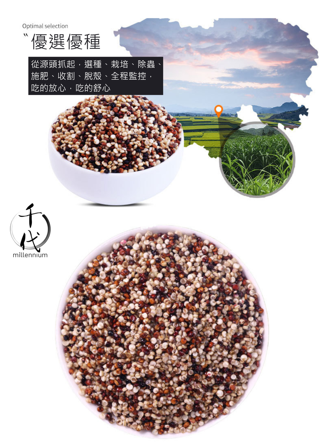 三色藜麥(真空包裝)(500g)│保持心血管健康│五穀雜糧 |生酮減肥 素食低升糖 紅藜麥 黑藜麥 白藜麥