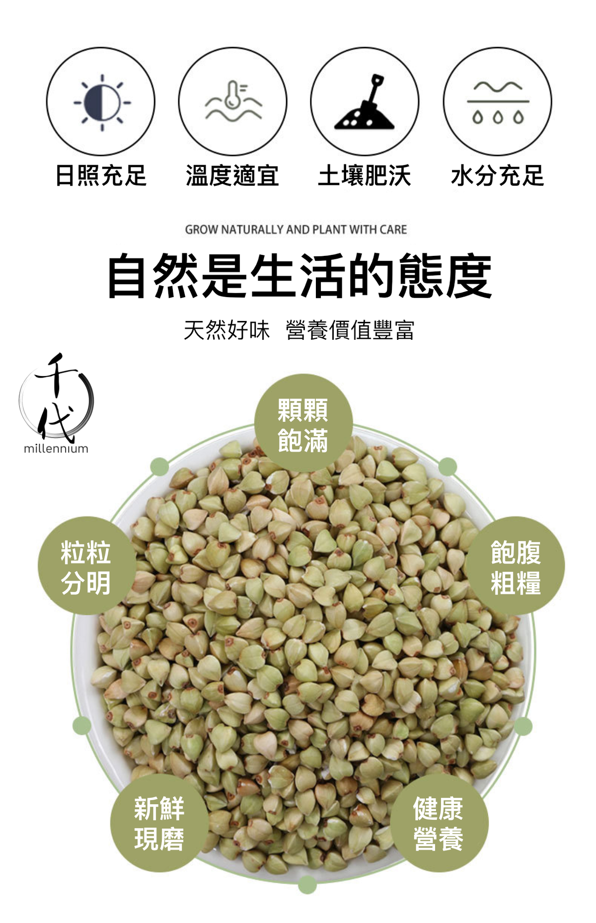 蕎麥米(真空包裝)(500G)│健脾益氣 開胃寬腸│五穀雜糧