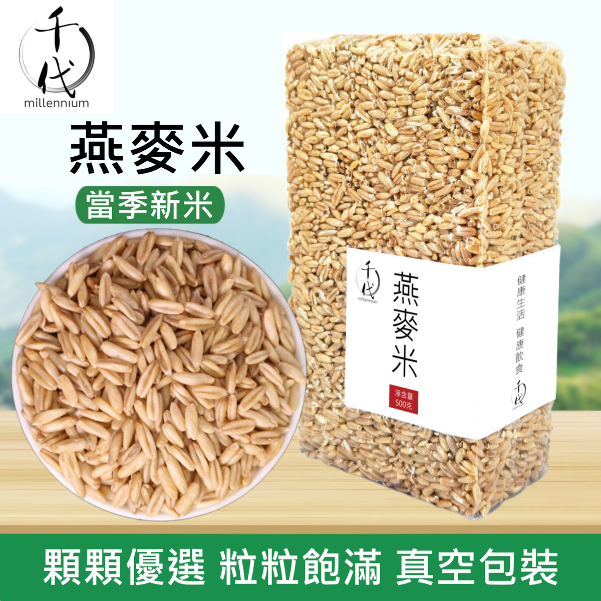 燕麥米(真空包裝)(500G)│降低膽固醇 有益心臟健康│五穀雜糧