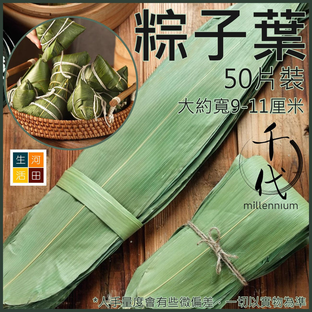 乾粽子葉(大片寬 7-10厘米│50片)│大號粽葉│端午節包粽子│乾粽葉│家用粽葉