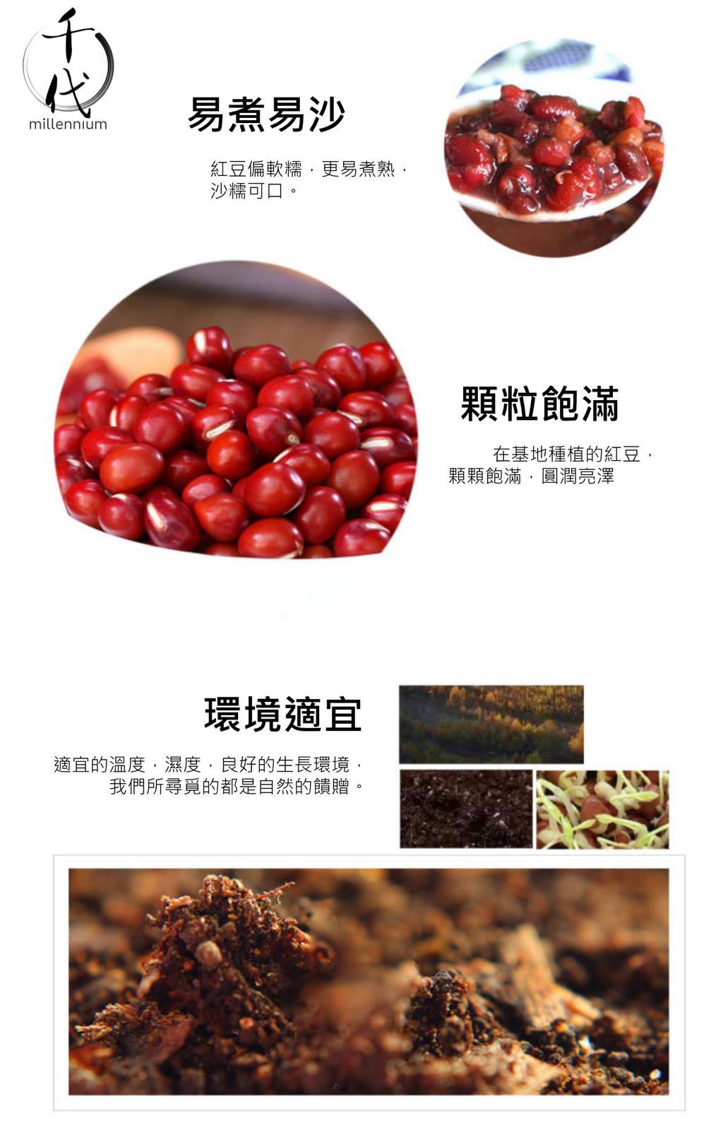 紅豆(真空包裝)(500G)│利尿消腫 清熱解毒│五穀雜糧