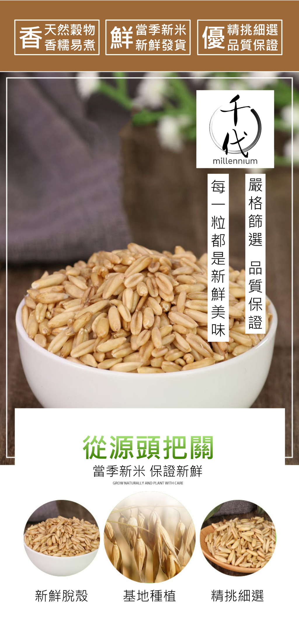 燕麥米(真空包裝)(500G)│降低膽固醇 有益心臟健康│五穀雜糧