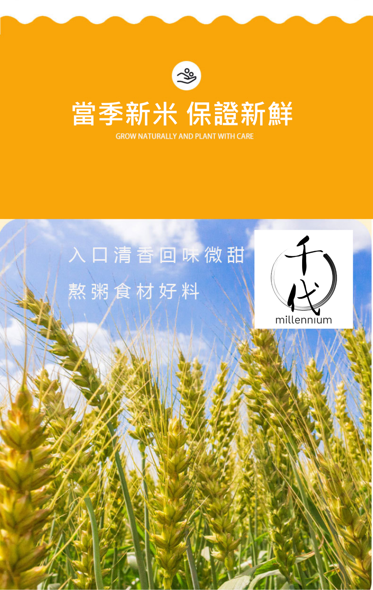 十色米(真空包裝)(500g)│高纖低熱量 有助腸道健康│五穀雜糧