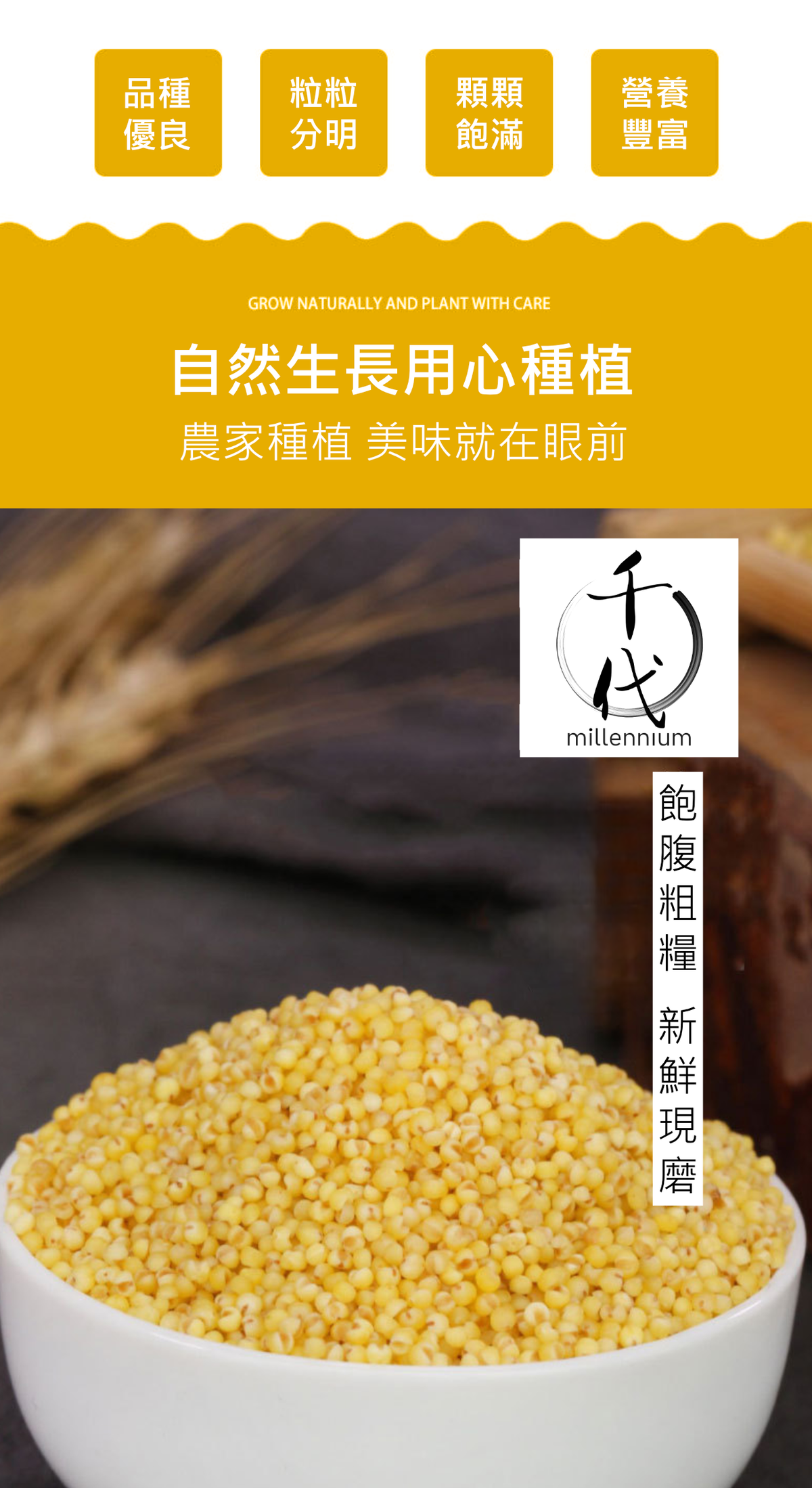 小黃米(真空包裝)(500G)│滋陰養血 健胃除濕│五穀雜糧