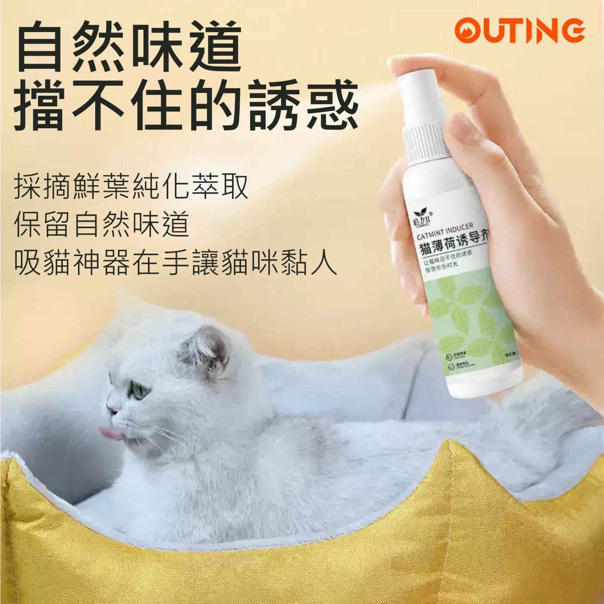 貓薄荷誘惑噴劑│玩具噴劑│薄荷噴霧│訓練噴霧│吸貓神器