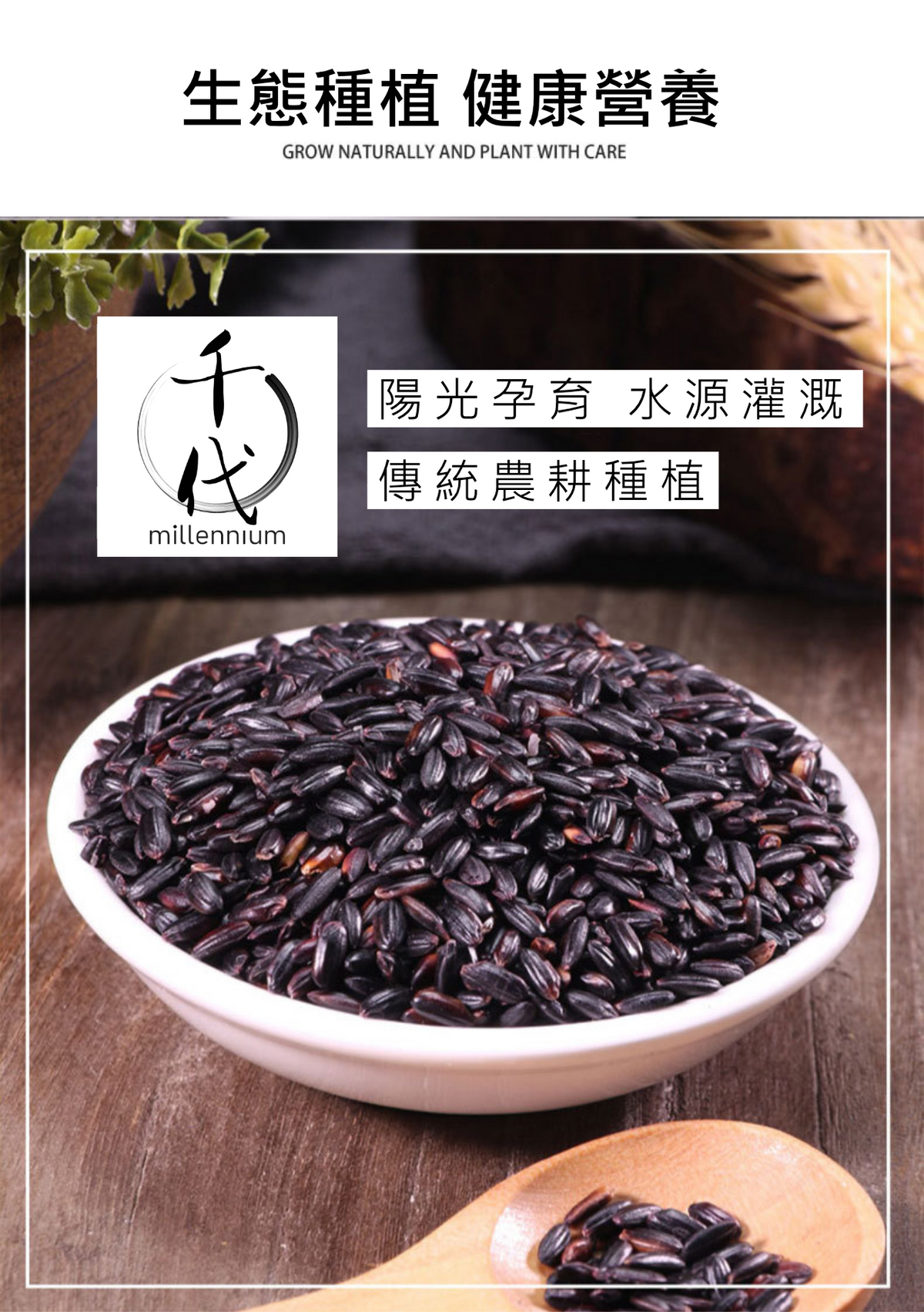 黑米(真空包裝)(500g)│補腎健脾 明目活血│五穀雜糧