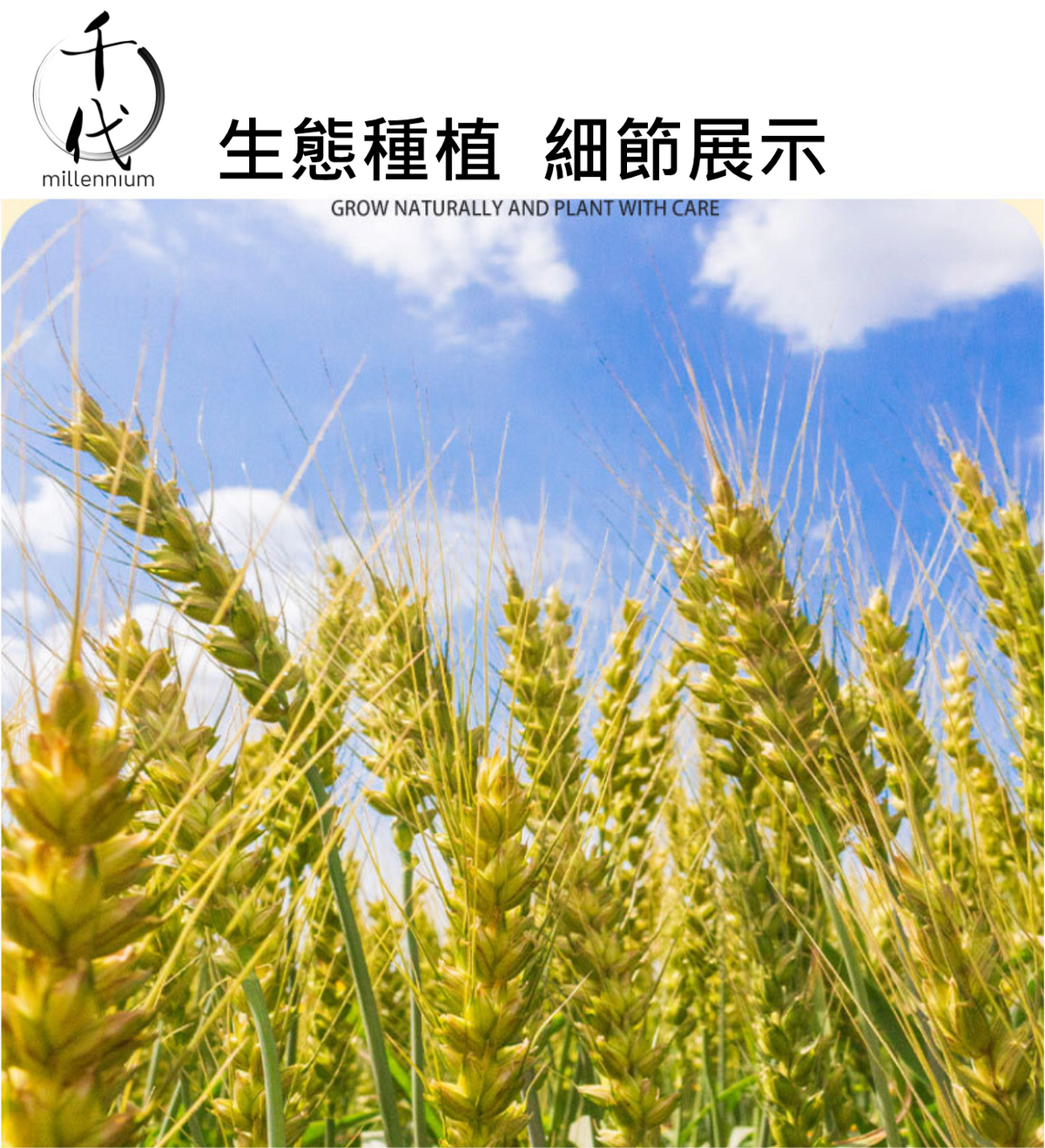 十色米(真空包裝)(500g)│高纖低熱量 有助腸道健康│五穀雜糧