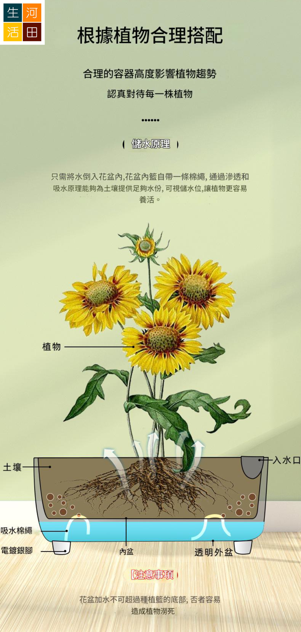 自吸水透明花盆 | 大容量 懶人種植必備 自動澆水設計 防爛根 |現代簡約時尚花盆