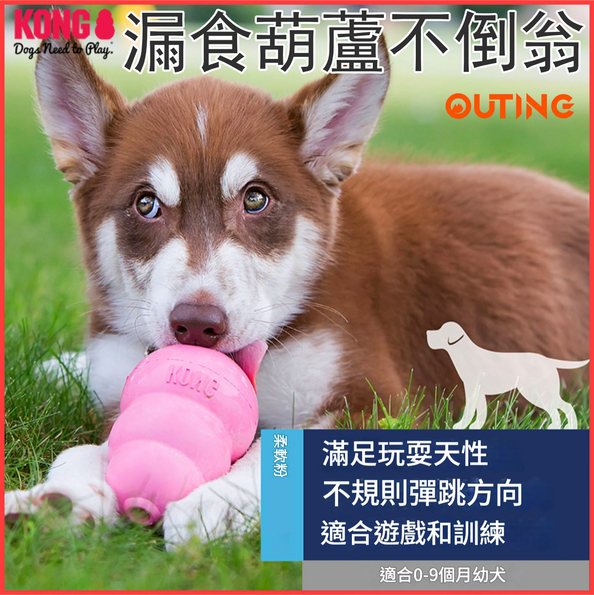 KONG 狗狗漏食葫蘆不倒翁玩具(粉紅色│大碼)│美國品牌漏食益智玩具│幼犬成犬訓練│互動解悶│無毒無害│洗碗機熱水清洗