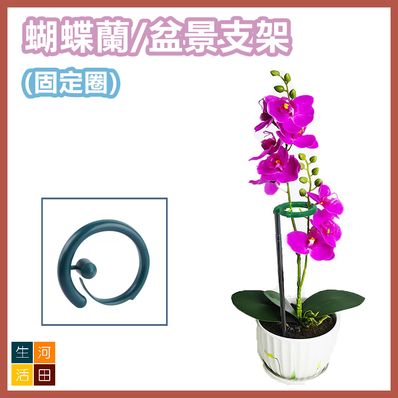 蝴蝶蘭/盆景支架 植物支撐桿 多肉植物防倒固型花架 不鏽鋼伸縮花支柱 (小17-28cm)