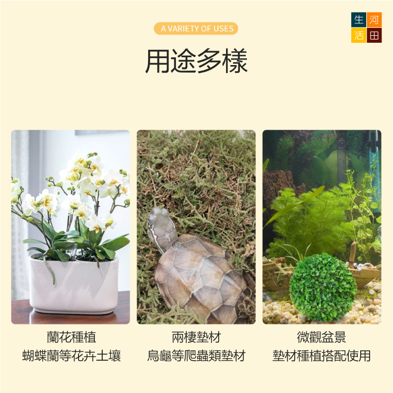 蝴蝶蘭水苔150g|乾苔蘭花專用營養土|園藝植料|微觀盆景素材