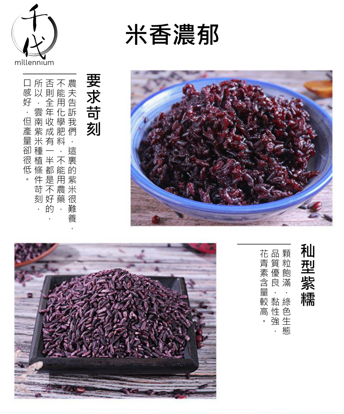紫米(真空包裝)(500g)│滋陰補腎 健脾暖肝│五穀雜糧