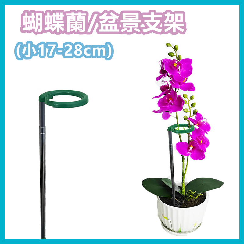 蝴蝶蘭/盆景支架 植物支撐桿 多肉植物防倒固型花架 不鏽鋼伸縮花支柱 (小17-28cm)