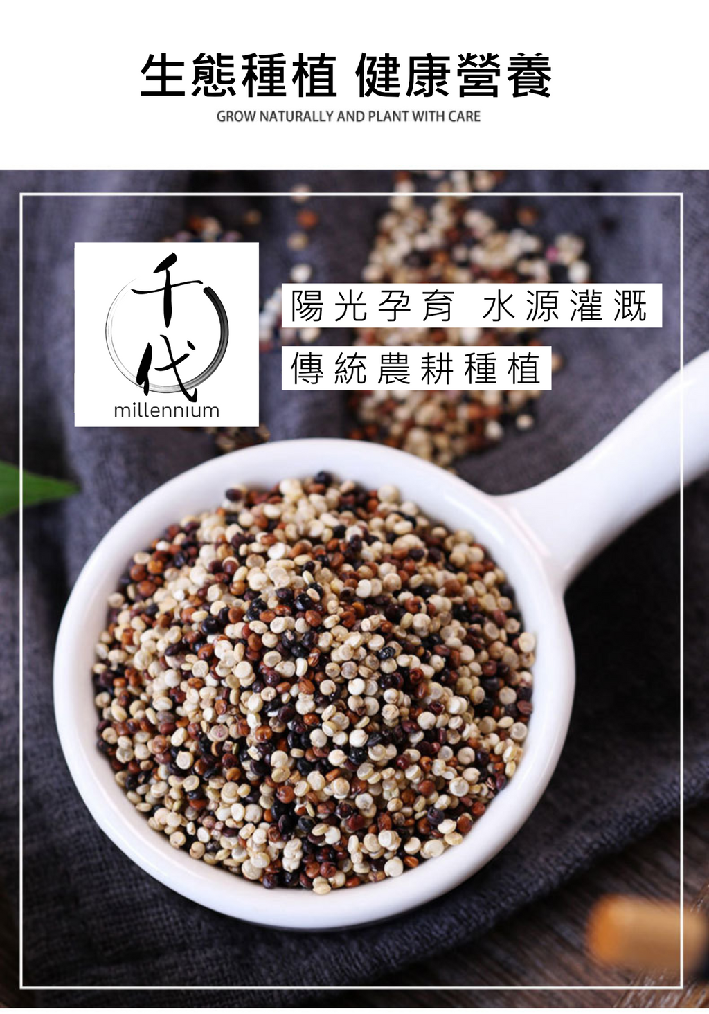 三色藜麥(真空包裝)(500g)│保持心血管健康│五穀雜糧 |生酮減肥 素食低升糖 紅藜麥 黑藜麥 白藜麥