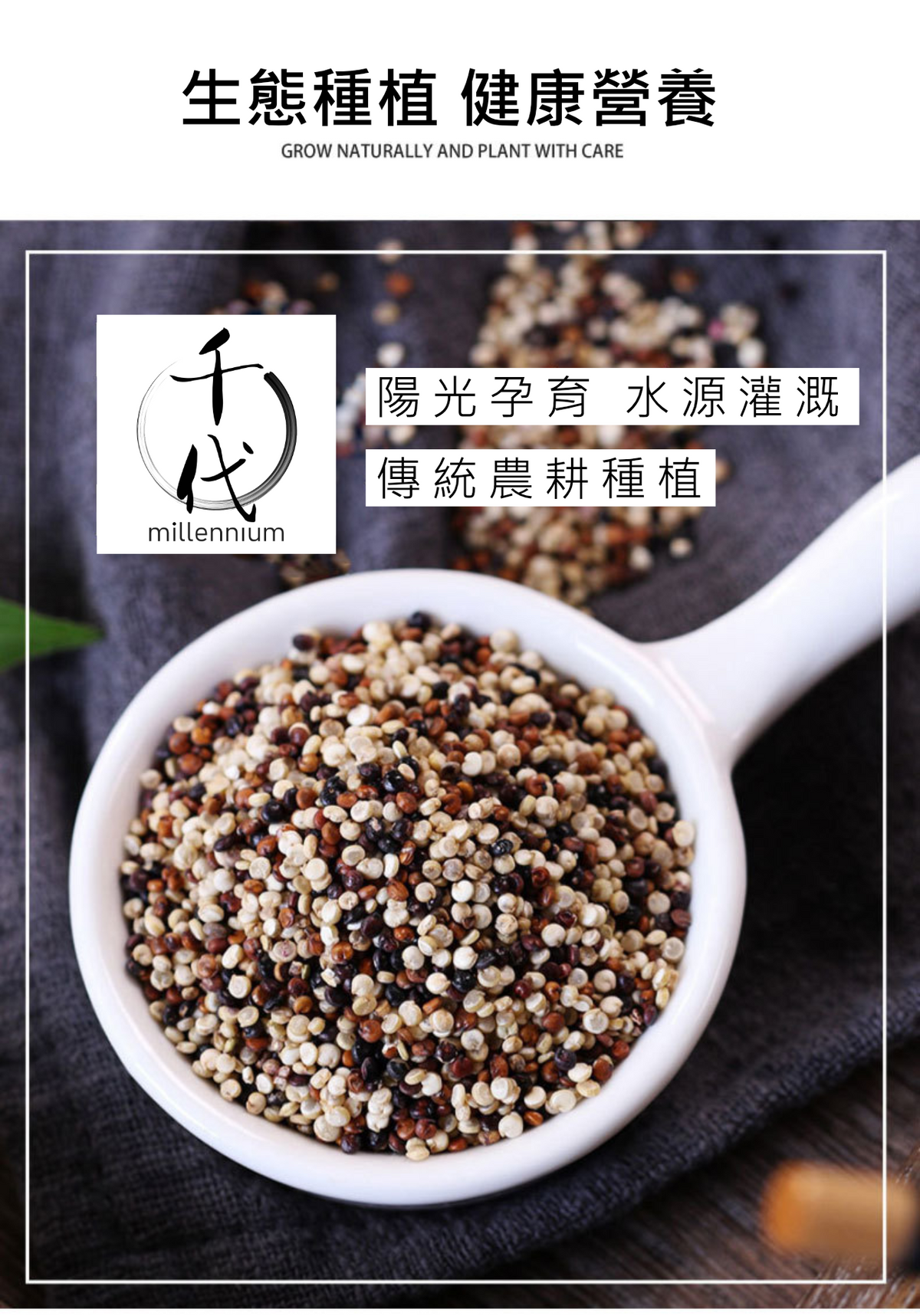 三色藜麥(真空包裝)(500g)│保持心血管健康│五穀雜糧 |生酮減肥 素食低升糖 紅藜麥 黑藜麥 白藜麥
