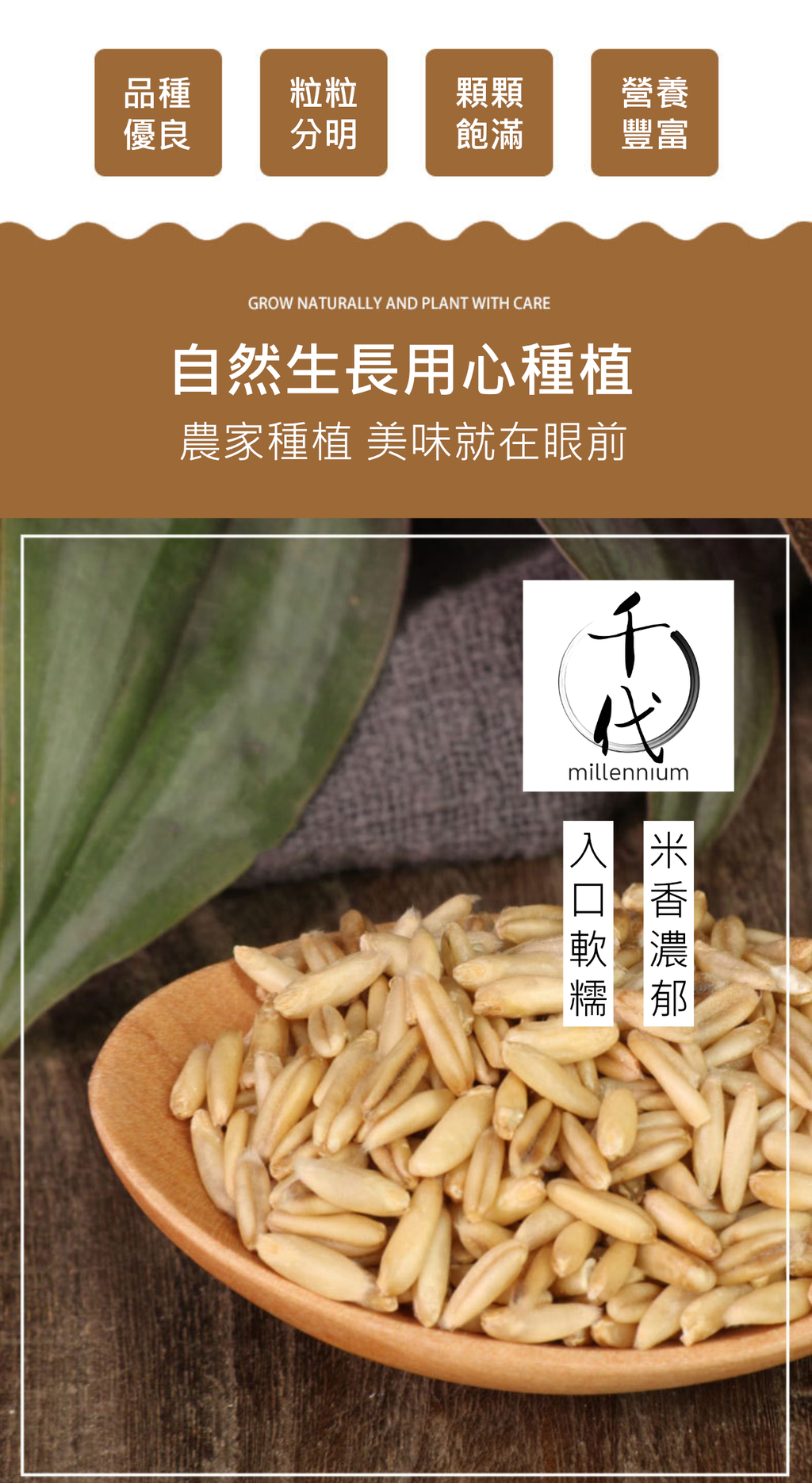 燕麥米(真空包裝)(500G)│降低膽固醇 有益心臟健康│五穀雜糧