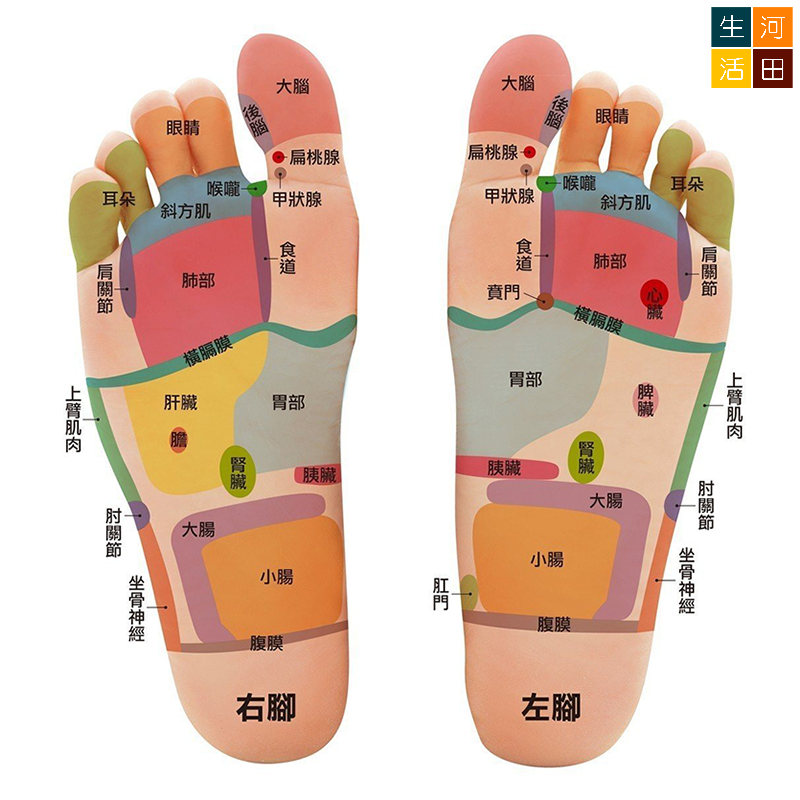腳底按摩鵝卵石腳墊 石路足療指壓墊