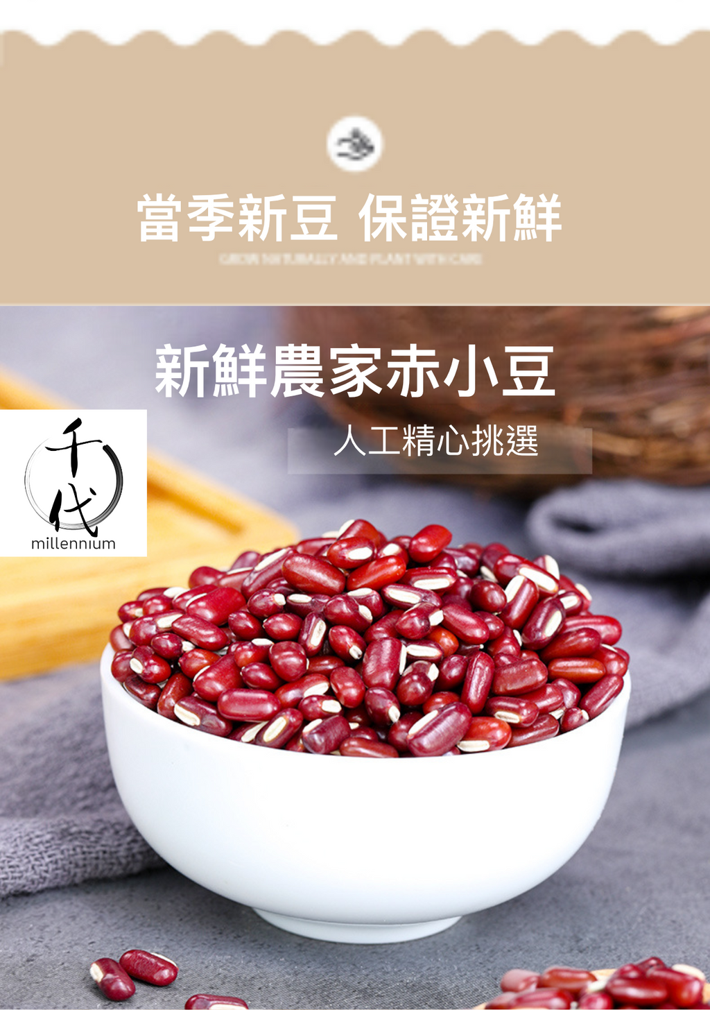 赤小豆(真空包裝)(500G)│寬腸理氣 消腫解毒 │五穀雜糧