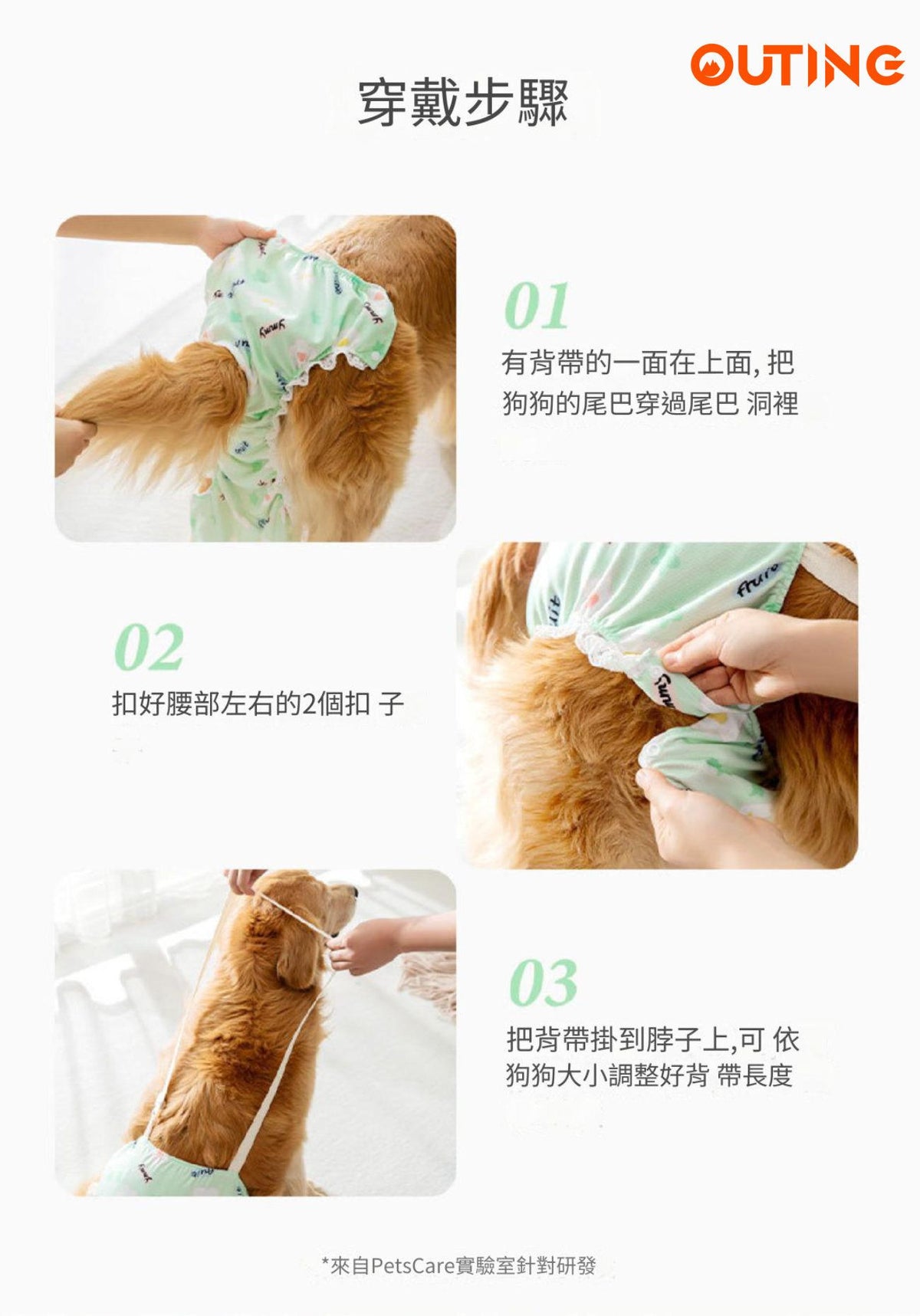 狗狗清爽透氣生理褲(中碼)│透氣狗狗尿布│舒適透氣生理褲│狗狗護理褲