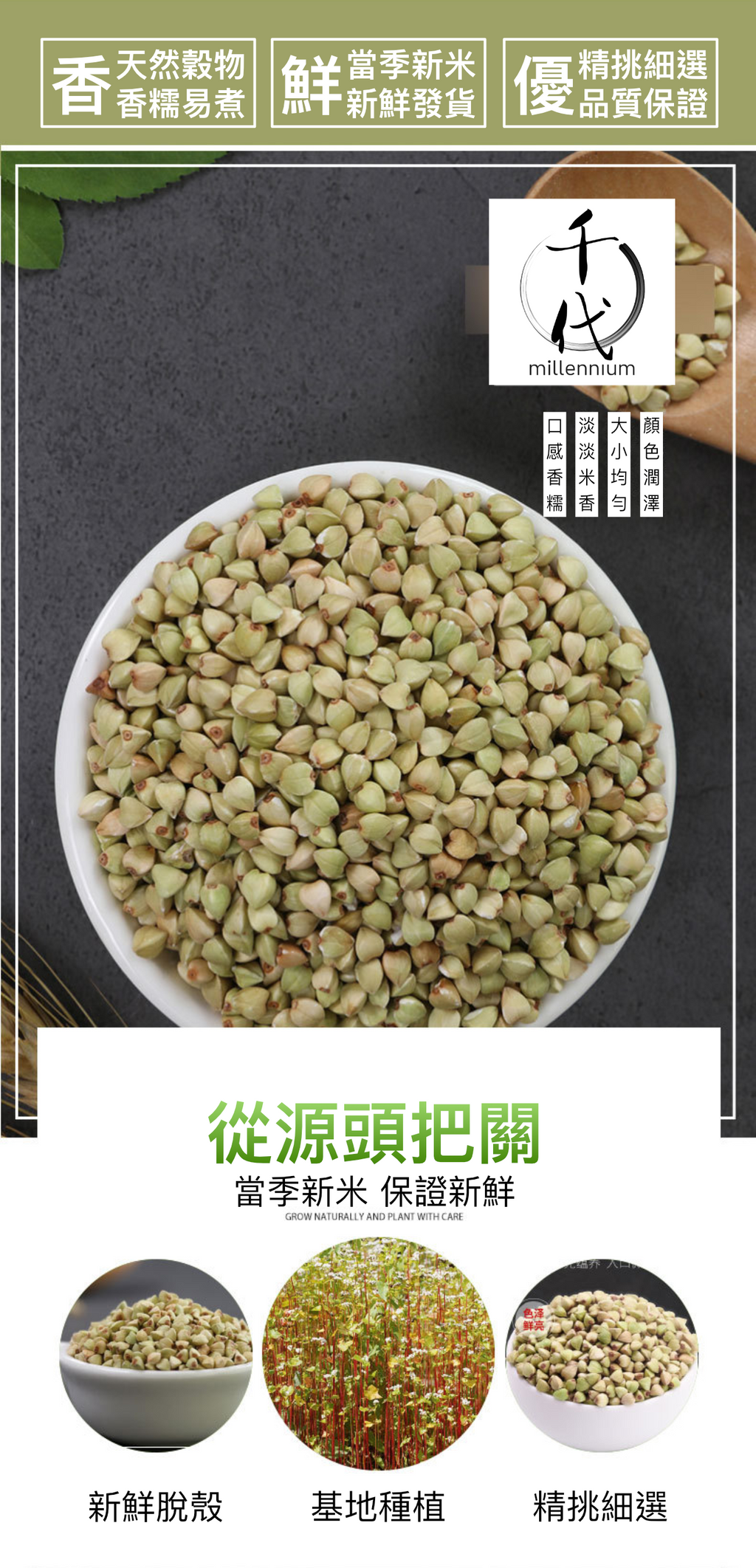 蕎麥米(真空包裝)(500G)│健脾益氣 開胃寬腸│五穀雜糧