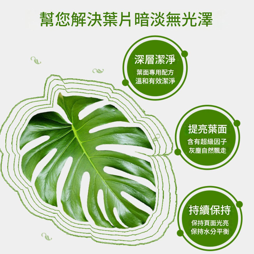 THEAOSON鮮葉光亮劑650ml│鮮切花保鮮劑│玫瑰百合植物通用型營養液│鮮花保鮮液