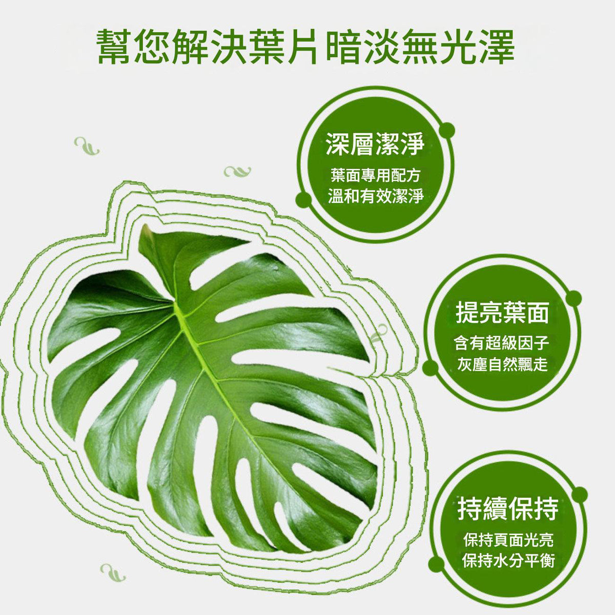 THEAOSON鮮葉光亮劑650ml│鮮切花保鮮劑│玫瑰百合植物通用型營養液│鮮花保鮮液