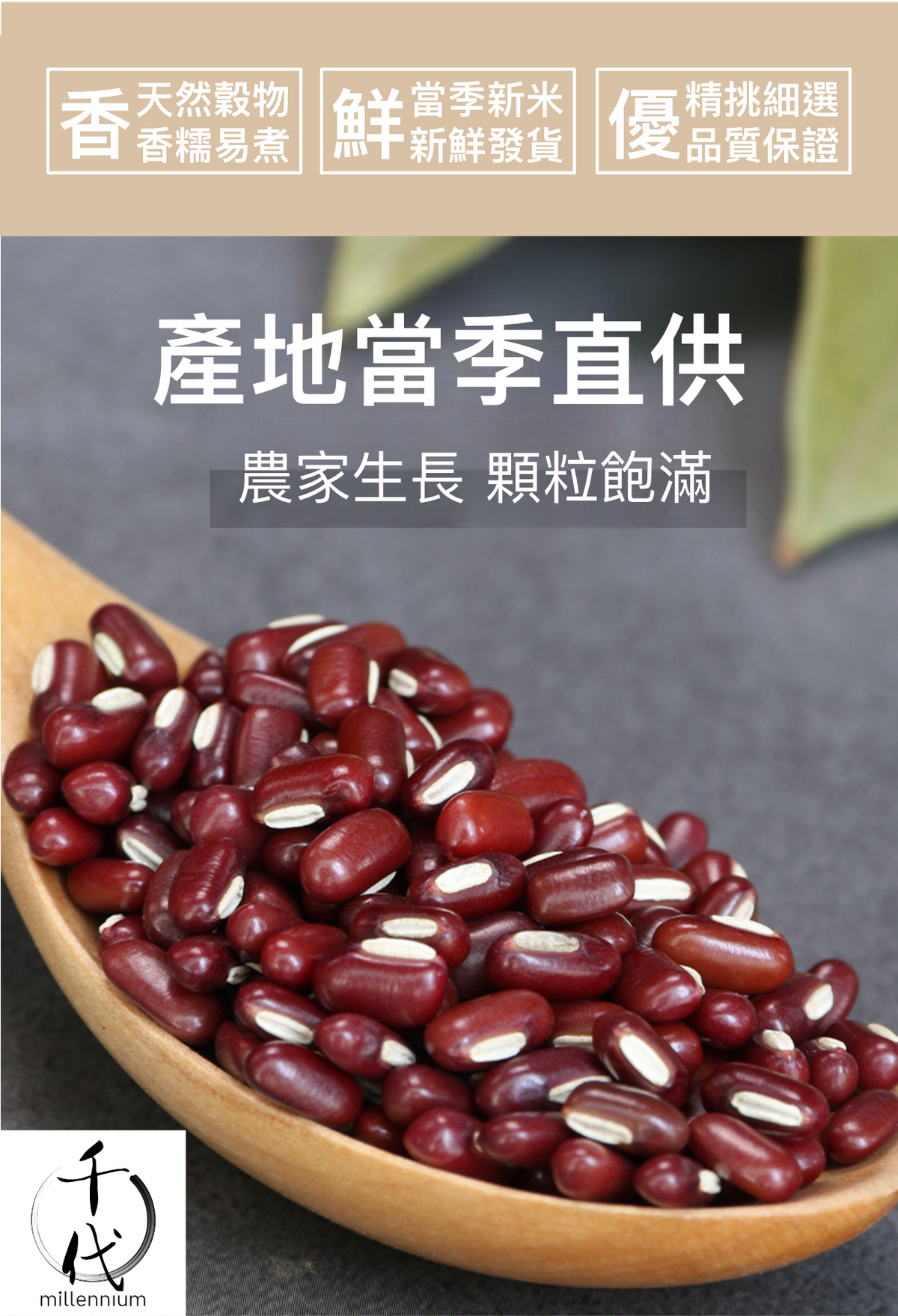 赤小豆(真空包裝)(500G)│寬腸理氣 消腫解毒 │五穀雜糧