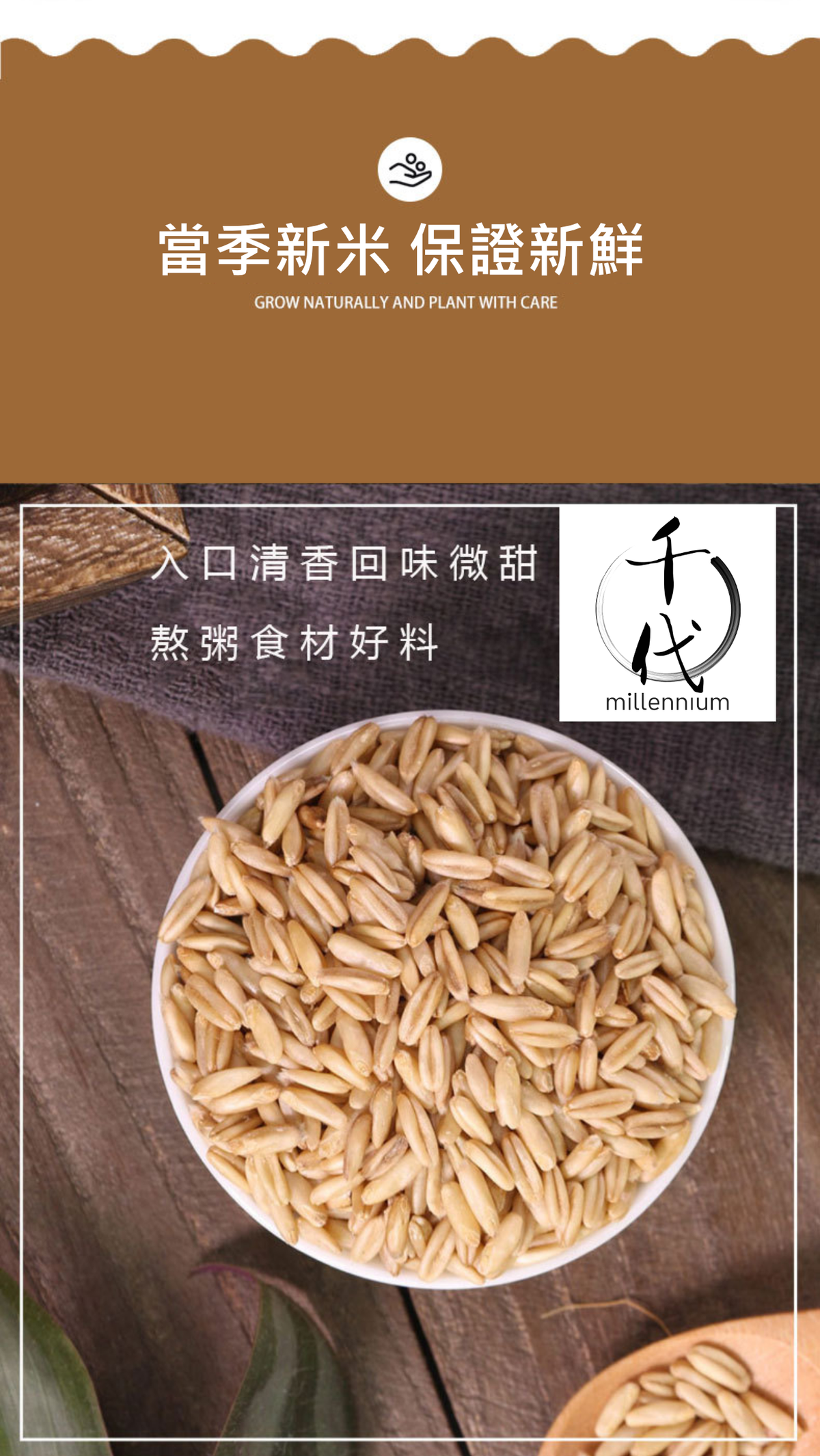 燕麥米(真空包裝)(500G)│降低膽固醇 有益心臟健康│五穀雜糧