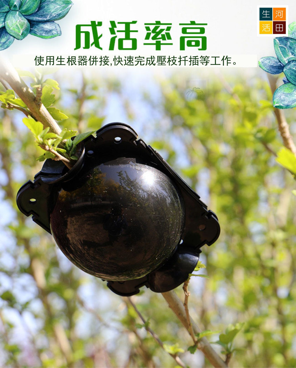 植物生根器套裝│折/插/接枝法神器│生根繁殖套裝│生根促進器│園藝育苗工具