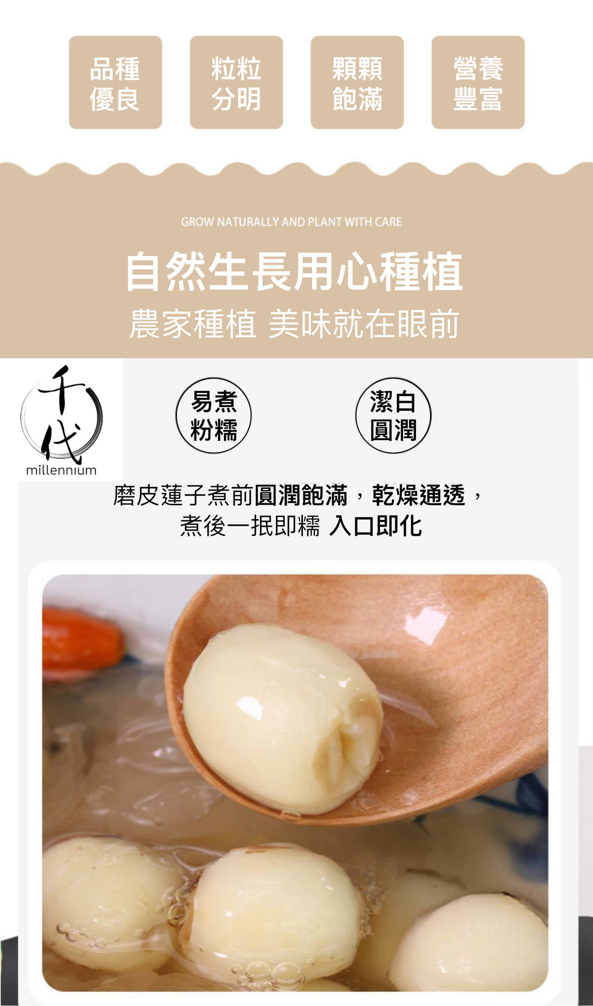原粒白蓮子(330G)│補益脾胃 清心助眠 精治腎虛