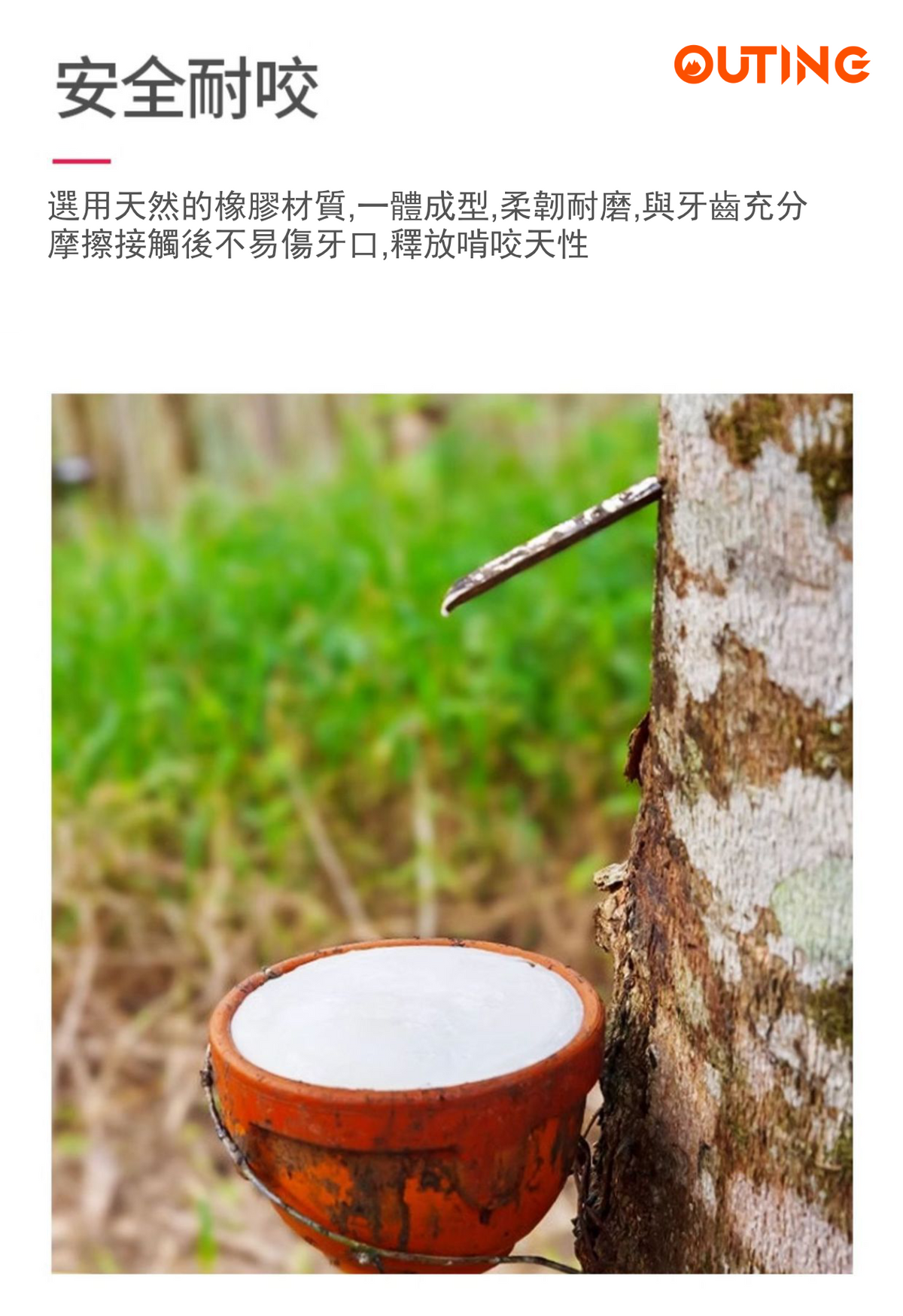 KONG 狗狗漏食葫蘆不倒翁玩具(粉紅色│大碼)│美國品牌漏食益智玩具│幼犬成犬訓練│互動解悶│無毒無害│洗碗機熱水清洗