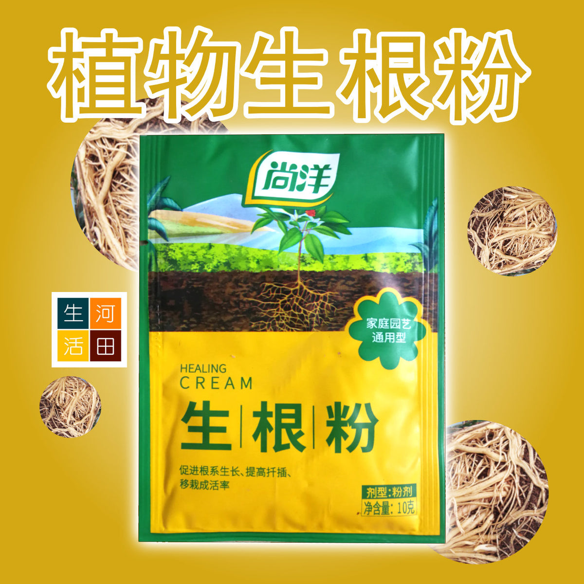 家庭園藝植物生根粉|移植生根粉末|扦插快速增強劑|植物通用發根劑|強力花卉壯苗劑|植物營養粉|植物生長催化劑|強效植物生長促進劑 (10g)