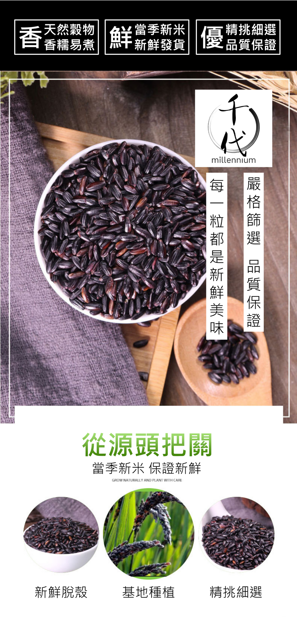 黑米(真空包裝)(500g)│補腎健脾 明目活血│五穀雜糧