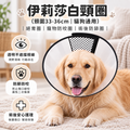 伊莉莎白頸圈(頸圍33-36cm│貓狗通用)│絕育圈│寵物防咬圈│術後防舔圈