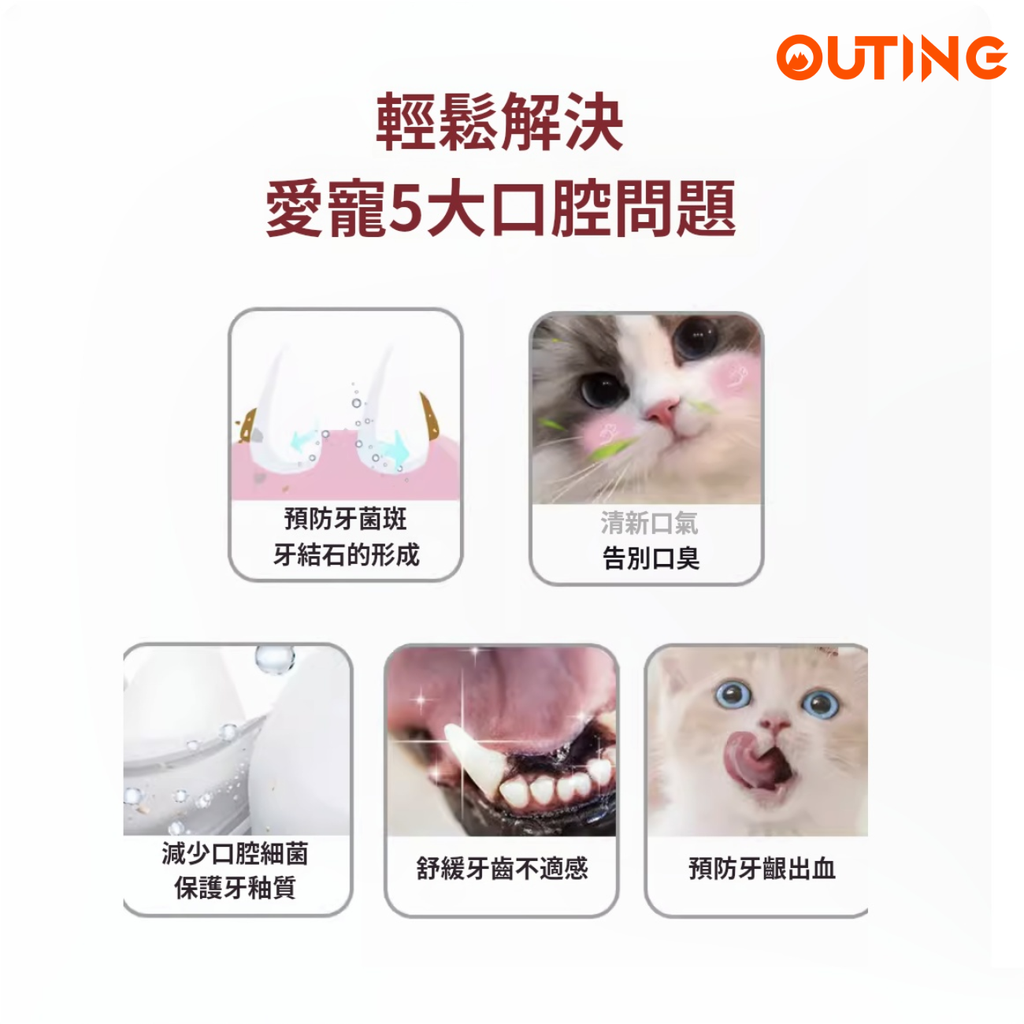 尖頭牙刷 | 杜邦刷毛 健齒護齦 | 貓狗可用寵物牙刷