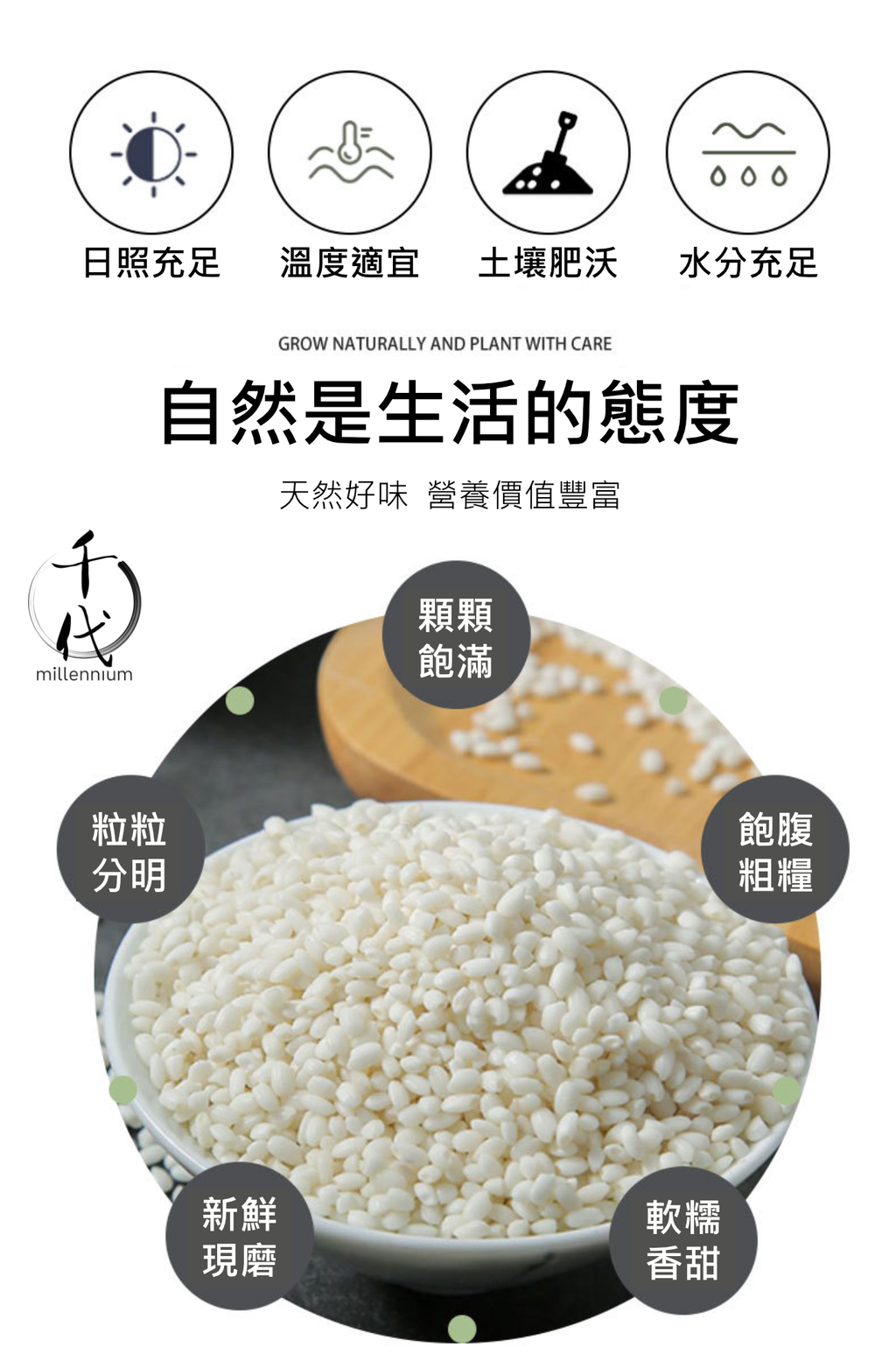 圓糯米(真空包裝)(500G)│補中益氣  健脾養胃│五穀雜糧