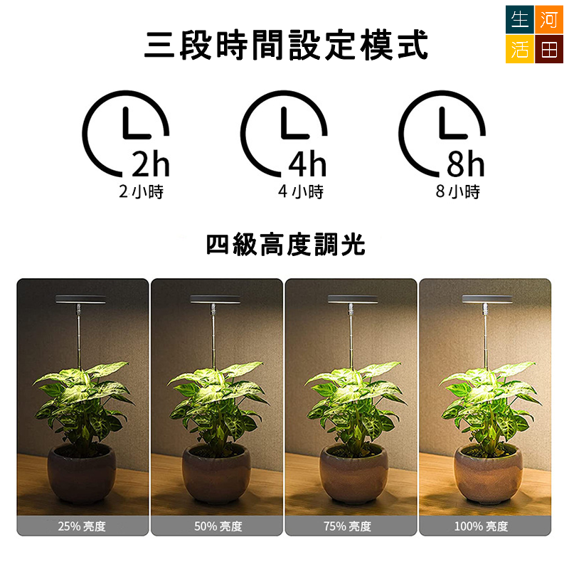 天使環 植物生長燈 全光譜LED 仿太陽燈 可調節光度 多肉植物 食蟲植物 補光燈 定時功能 usb供電 室內用