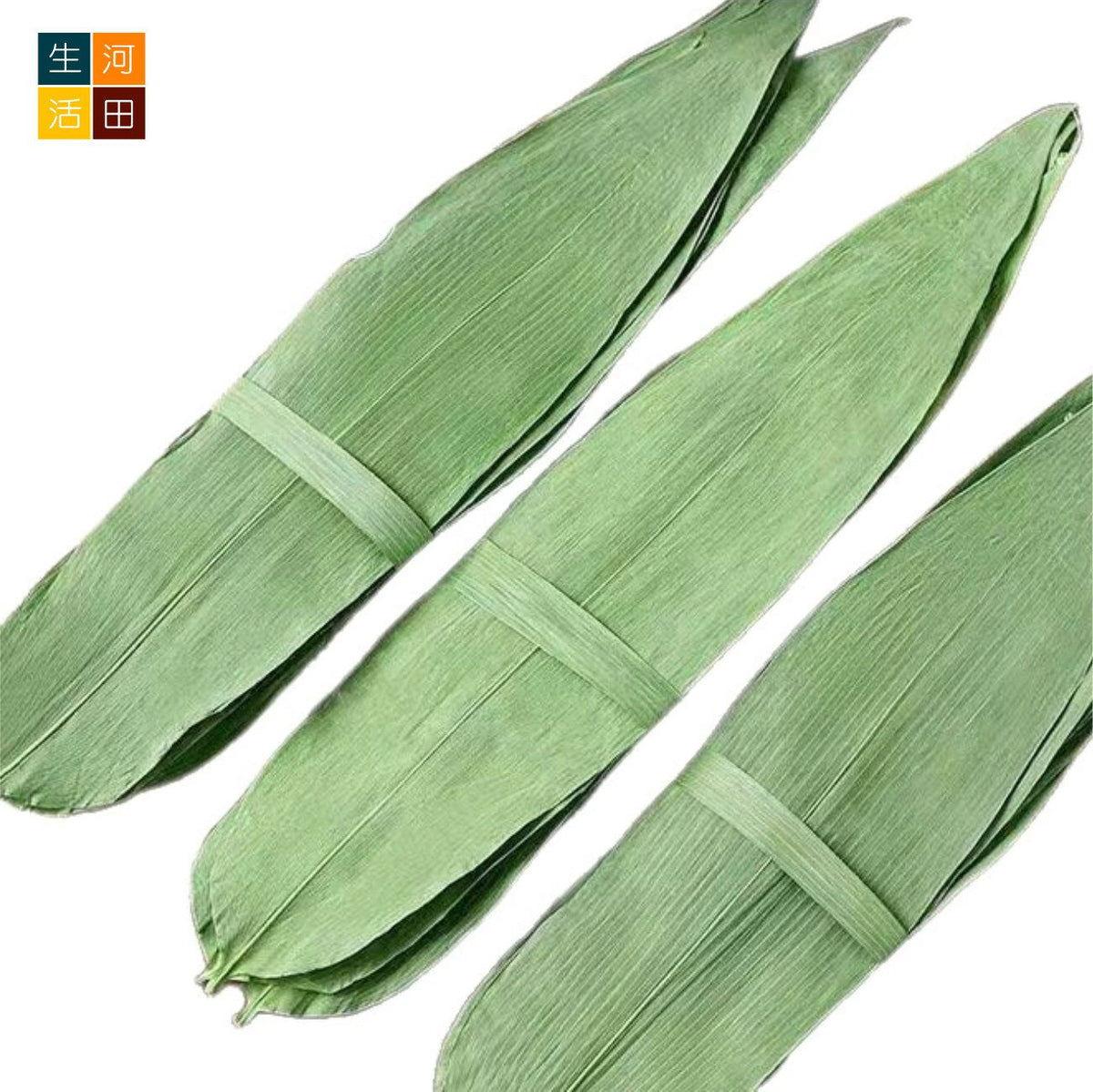 乾粽子葉(大片寬 7-10厘米│50片)│大號粽葉│端午節包粽子│乾粽葉│家用粽葉