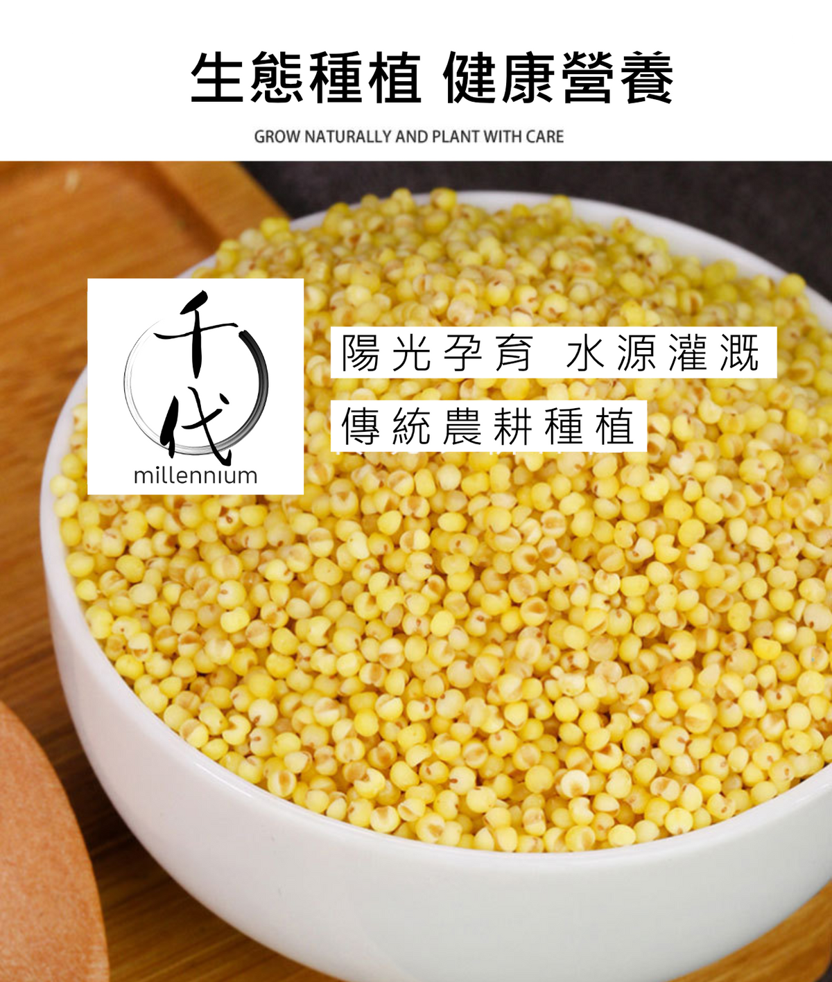 小黃米(真空包裝)(500G)│滋陰養血 健胃除濕│五穀雜糧