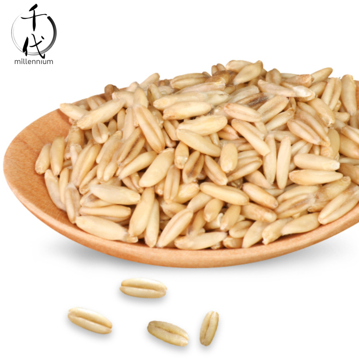 燕麥米(真空包裝)(500G)│降低膽固醇 有益心臟健康│五穀雜糧