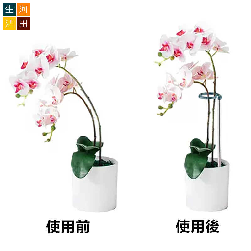 蝴蝶蘭/盆景支架 植物支撐桿 多肉植物防倒固型花架 不鏽鋼伸縮花支柱 (小17-28cm)