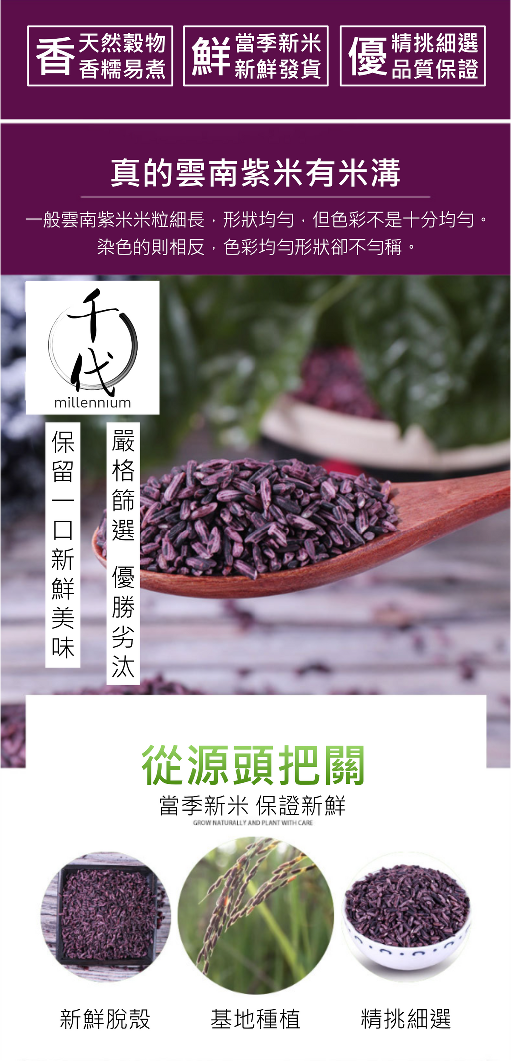 紫米(真空包裝)(500g)│滋陰補腎 健脾暖肝│五穀雜糧