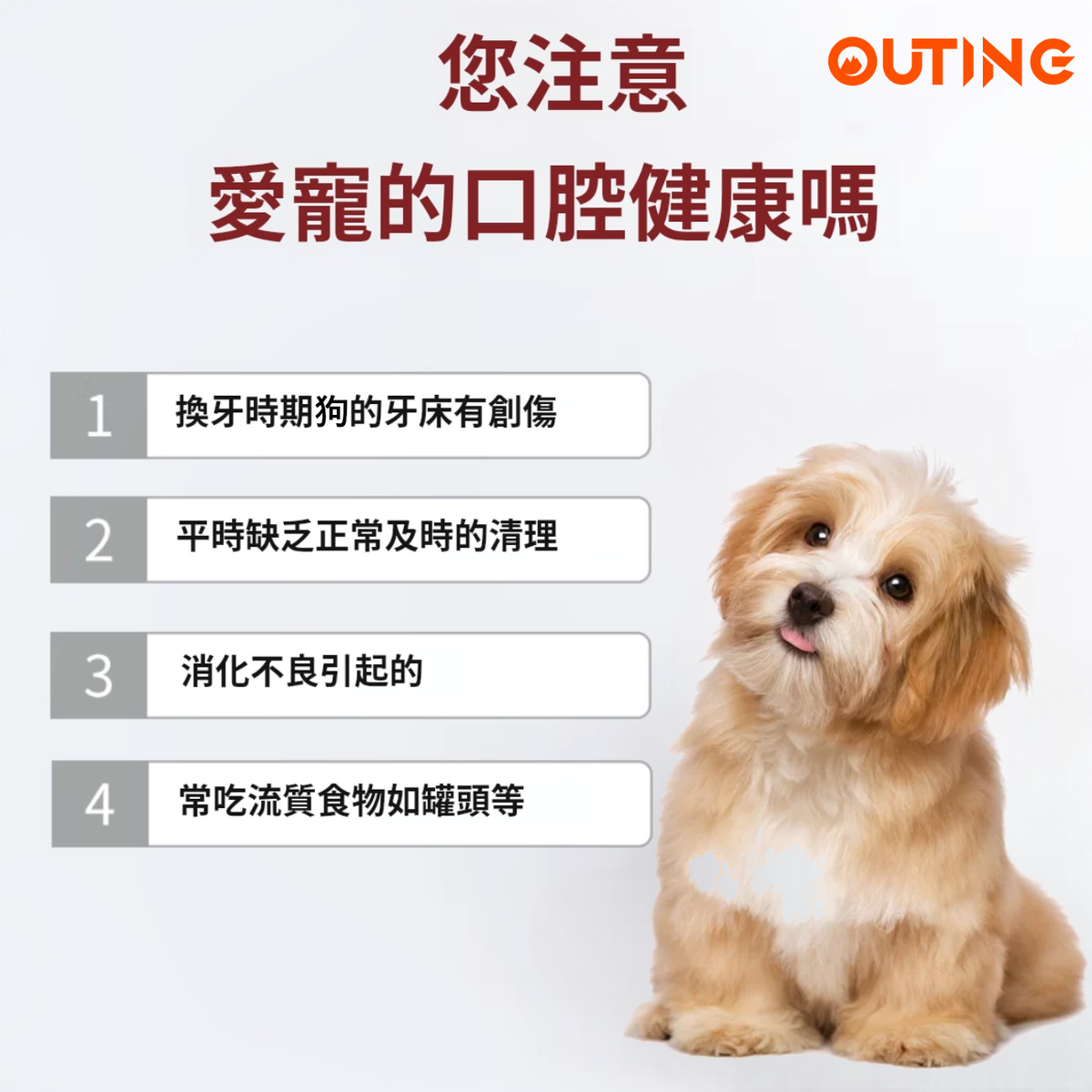 狗狗牙刷 | 杜邦刷毛 健齒護齦 | 狗狗專用