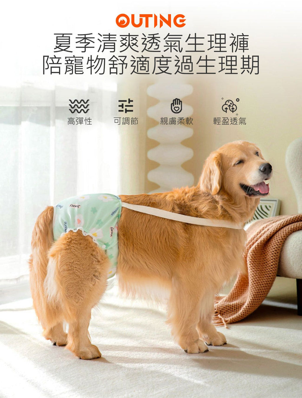 狗狗清爽透氣生理褲(中碼)│透氣狗狗尿布│舒適透氣生理褲│狗狗護理褲