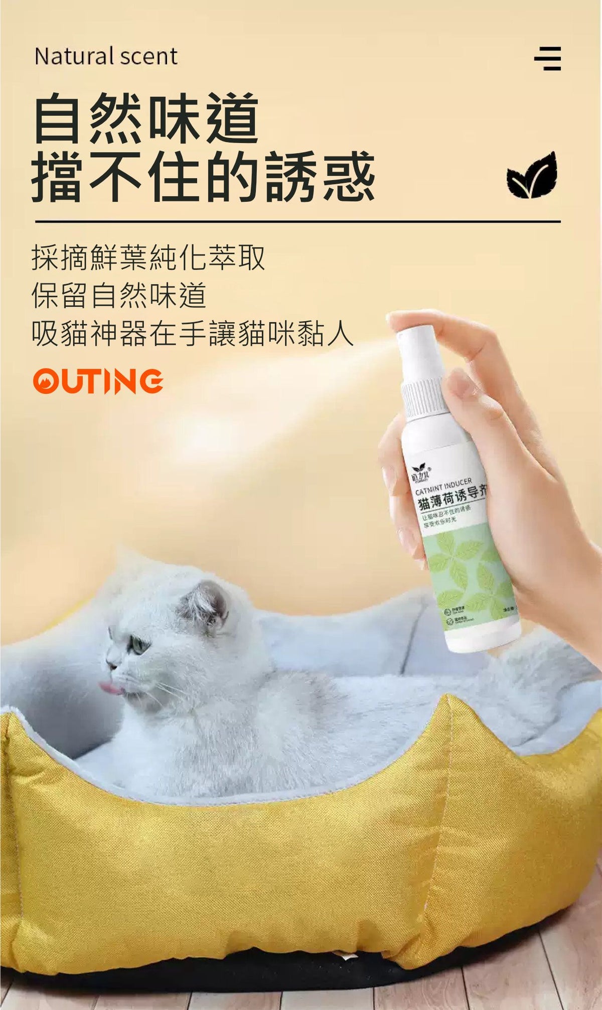 貓薄荷誘惑噴劑│玩具噴劑│薄荷噴霧│訓練噴霧│吸貓神器