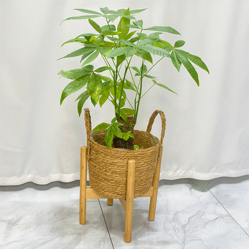 落地花盆連木質支撐架 客廳盆栽大花盆托架 陽台植物擺放架組合 (小 - 直徑約27cm)