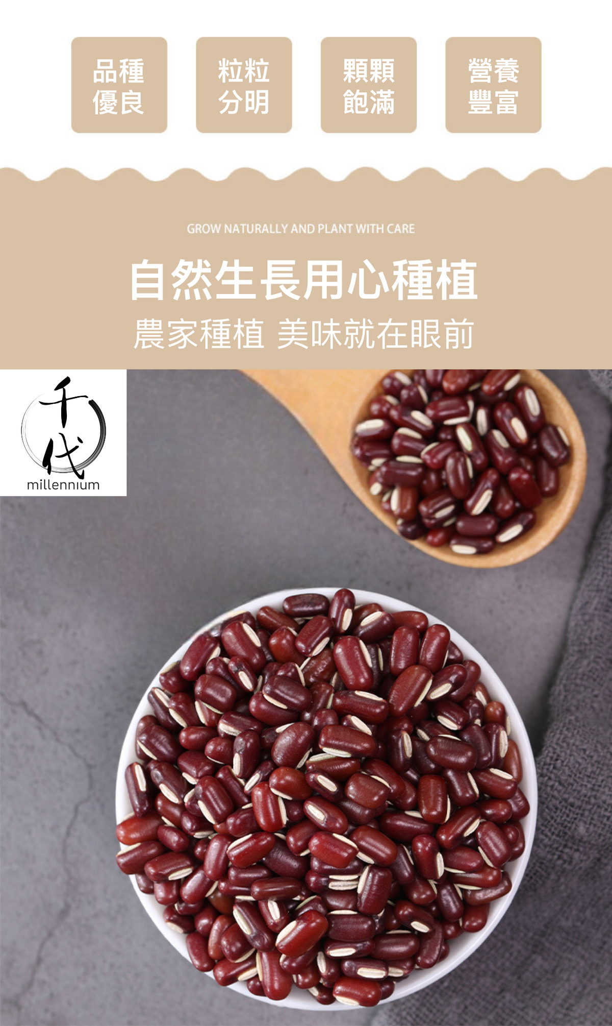 赤小豆(真空包裝)(500G)│寬腸理氣 消腫解毒 │五穀雜糧