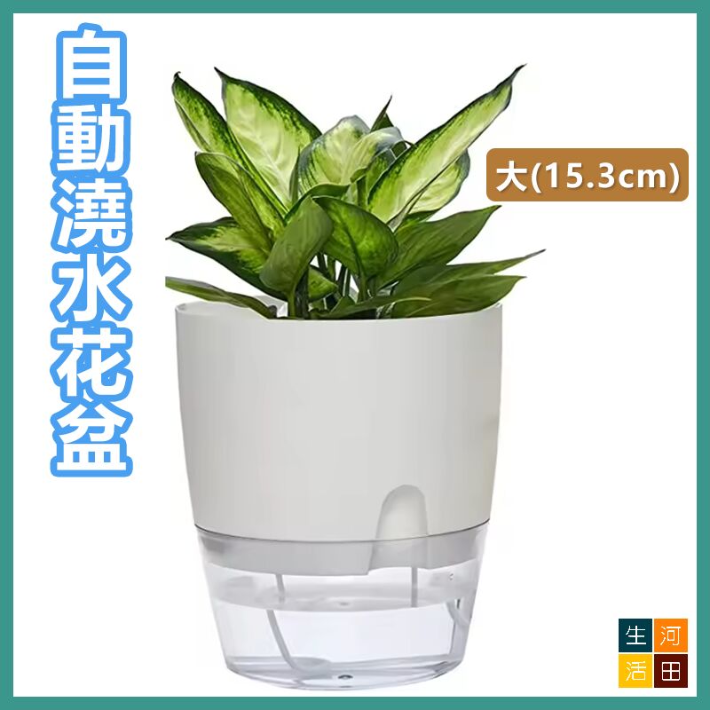 自動澆水花盆 透明雙層花盆 園藝工具 (白色 大-直徑15.3cm)