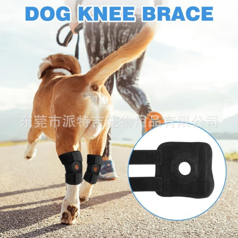 寵物貓狗護膝(XL碼一對）|ACL韌帶撕裂保護輔助|復健貓咪關節脫位保護套 — 產品詳圖