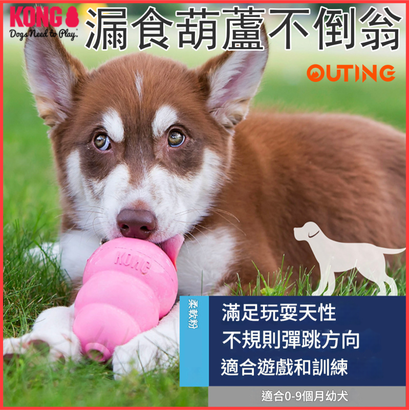 KONG 狗狗漏食葫蘆不倒翁玩具(粉紅色│中碼)│美國品牌漏食益智玩具│幼犬成犬訓練│互動解悶│無毒無害│洗碗機熱水清洗 — 產品詳圖